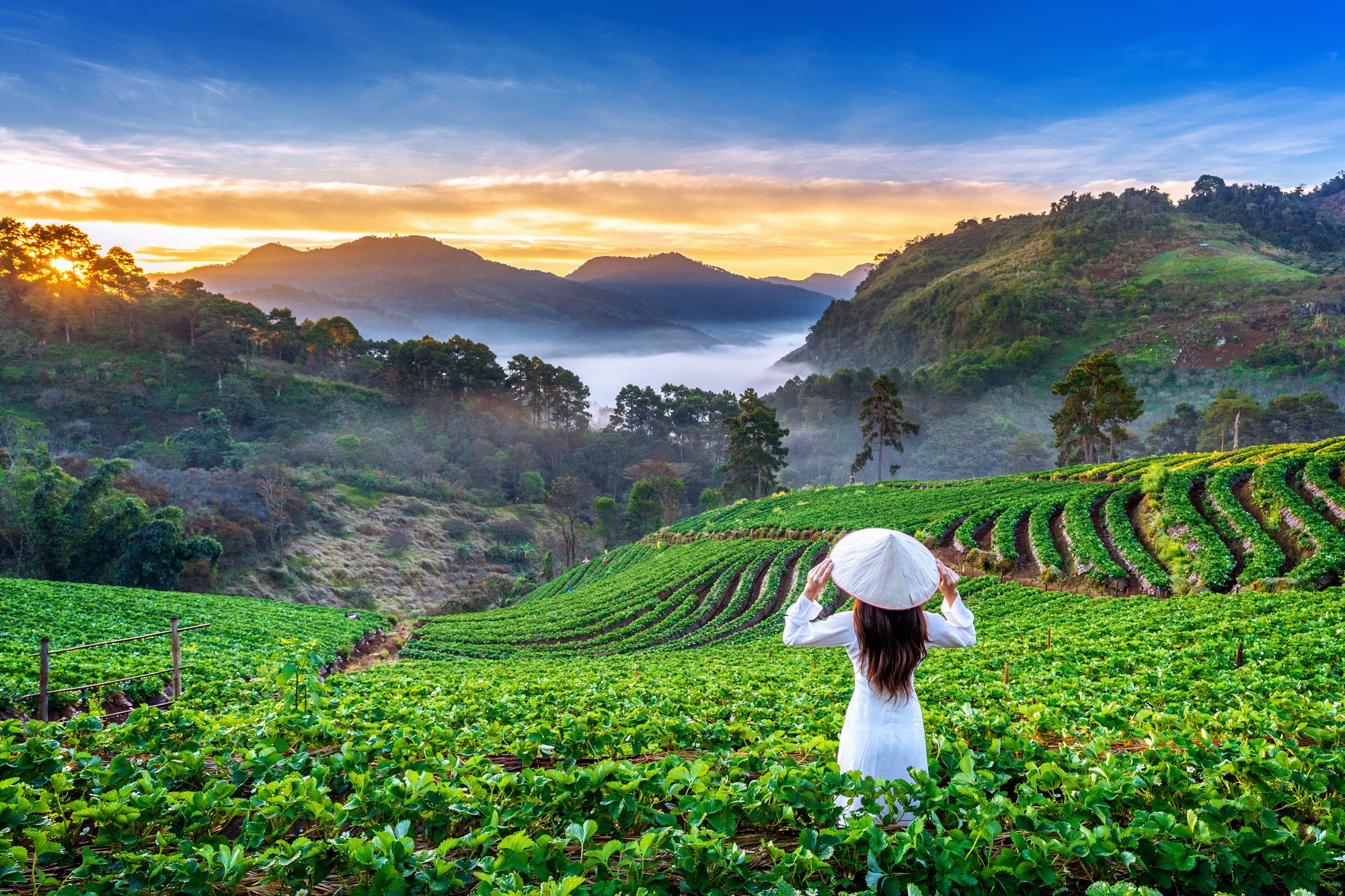 Kerala Tours