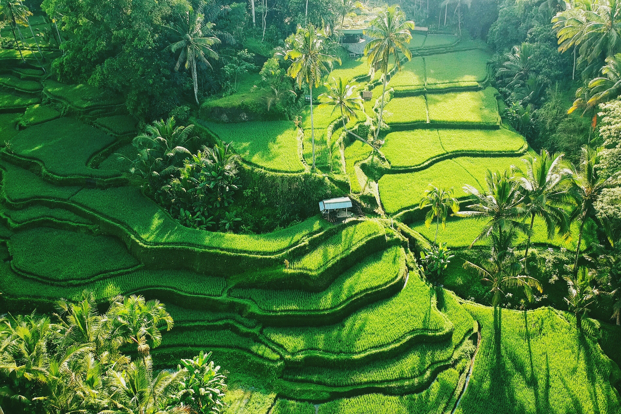 BEST OF KERALA 